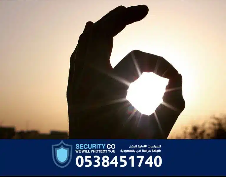 Detailed Objectives of the Security Officer