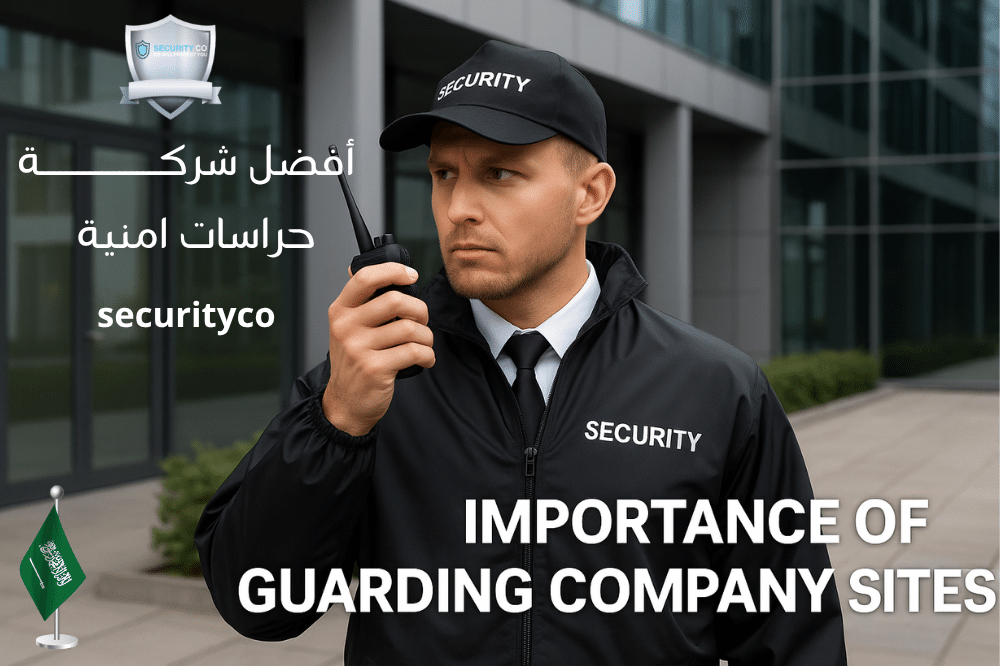 The importance of protecting corporate websites