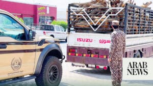 لماذا تعتمد الشركات الكبرى في السعودية على شركات الحراسات الأمنية؟