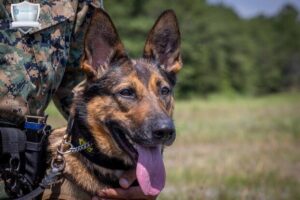 تدريب حراس الأمن في السعودية