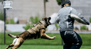 تدريب حراس الأمن في السعودية