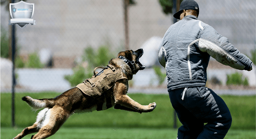 تدريب حراس الأمن في السعودية